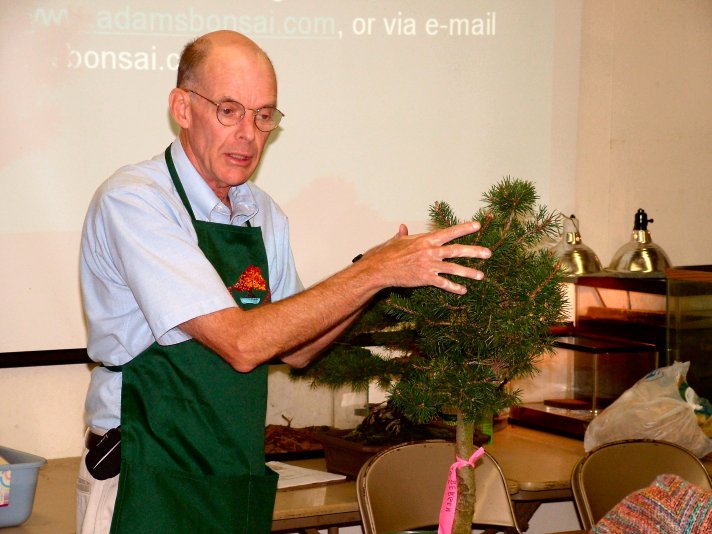 Phỏng vấn nhanh cao thủ Bonsai Julian Adams, USA